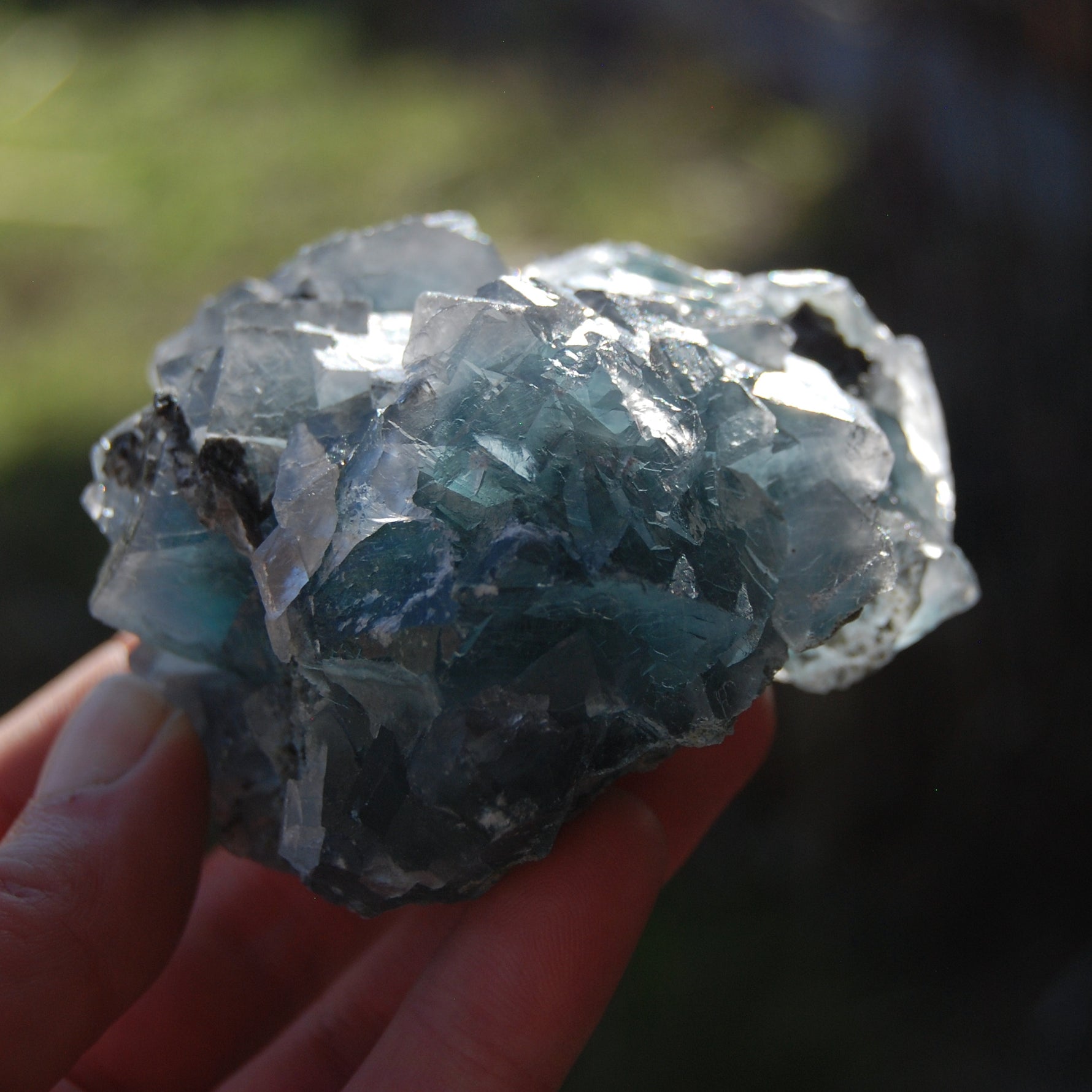 Fluorite Crystal Specimen Blue Green Teal