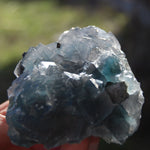Fluorite Crystal Specimen Blue Green Teal