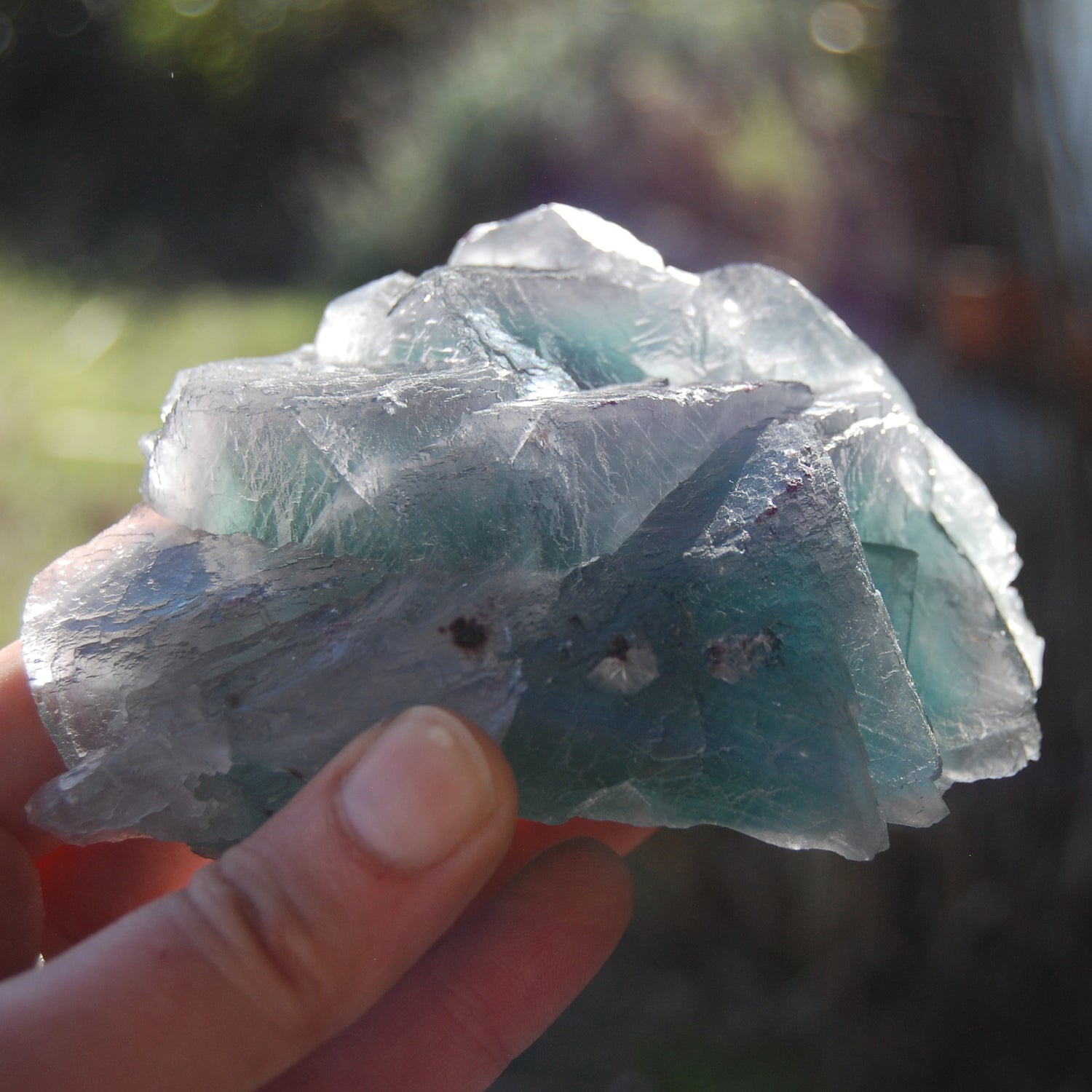 Fluorite Crystal Specimen Blue Green Teal