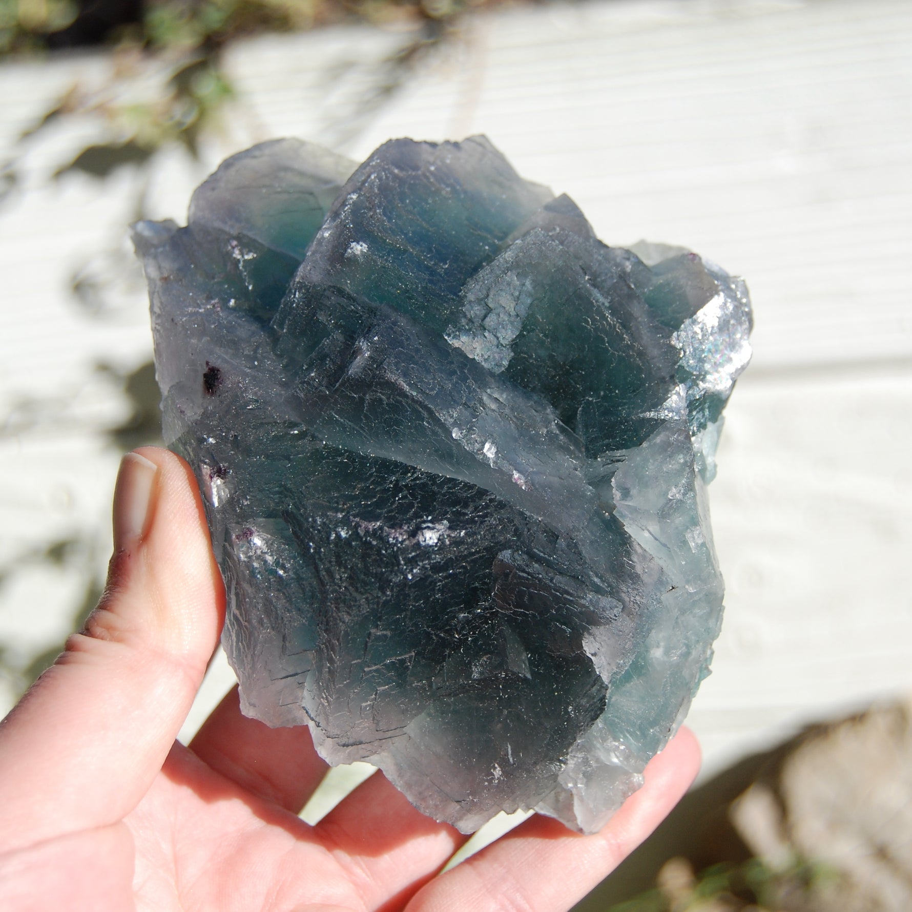 Fluorite Crystal Specimen Blue Green Teal