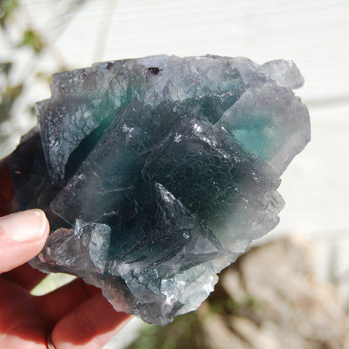 Fluorite Crystal Specimen Blue Green Teal