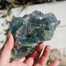 Load image into Gallery viewer, 1.5lb XL Raw Bicolor Fluorite Crystal Cluster, Teal Cubic Fluorite

