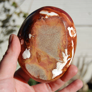 Carnelian Carved Crystal Freeform Bowl