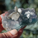 Raw Fluorite Crystal Specimen Blue Green Teal
