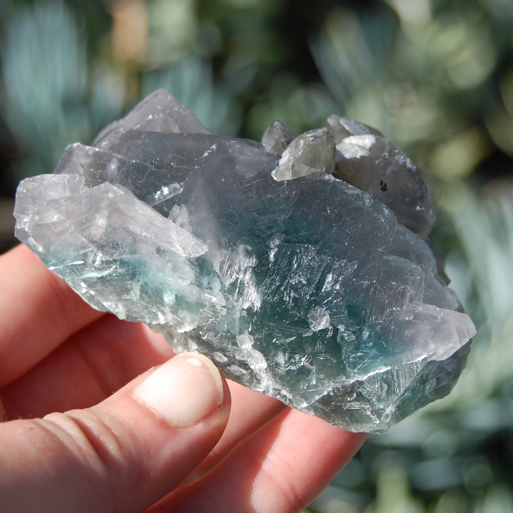 Raw Fluorite Crystal Specimen Blue Green Teal