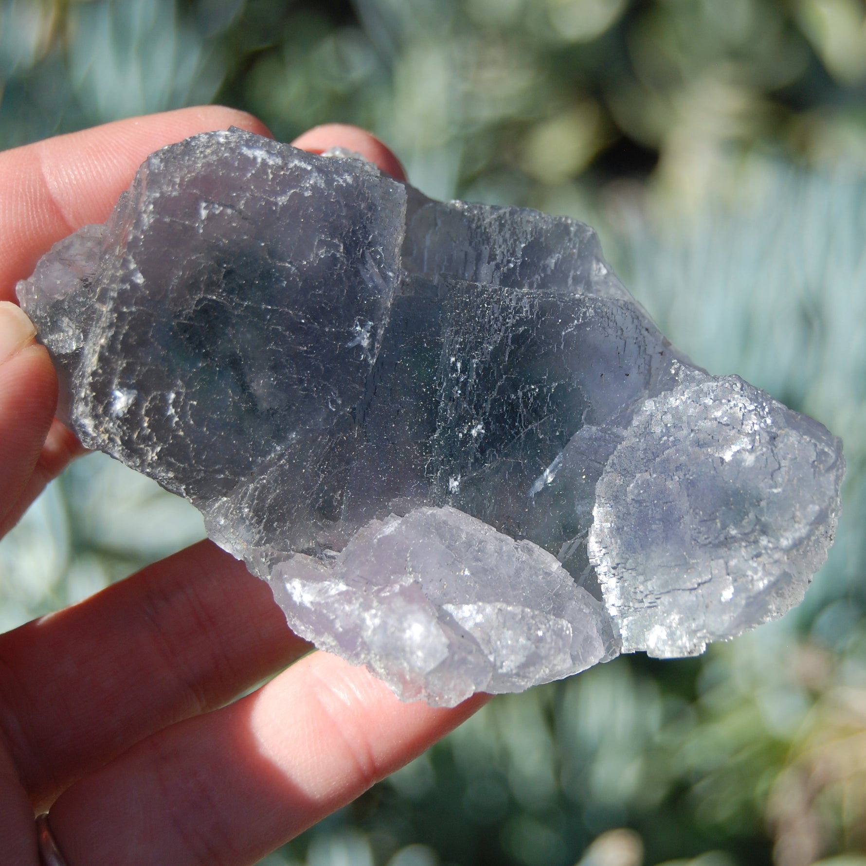 Raw Fluorite Crystal Specimen Blue Green Teal
