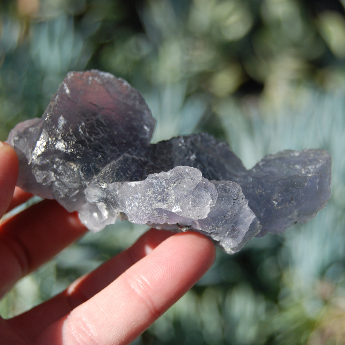 Raw Fluorite Crystal Specimen Blue Green Teal