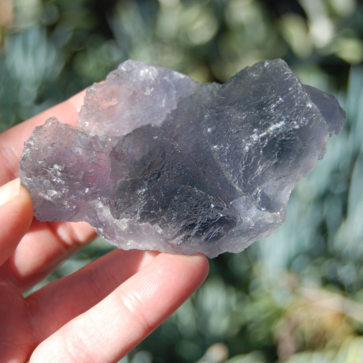 Raw Fluorite Crystal Specimen Blue Green Teal