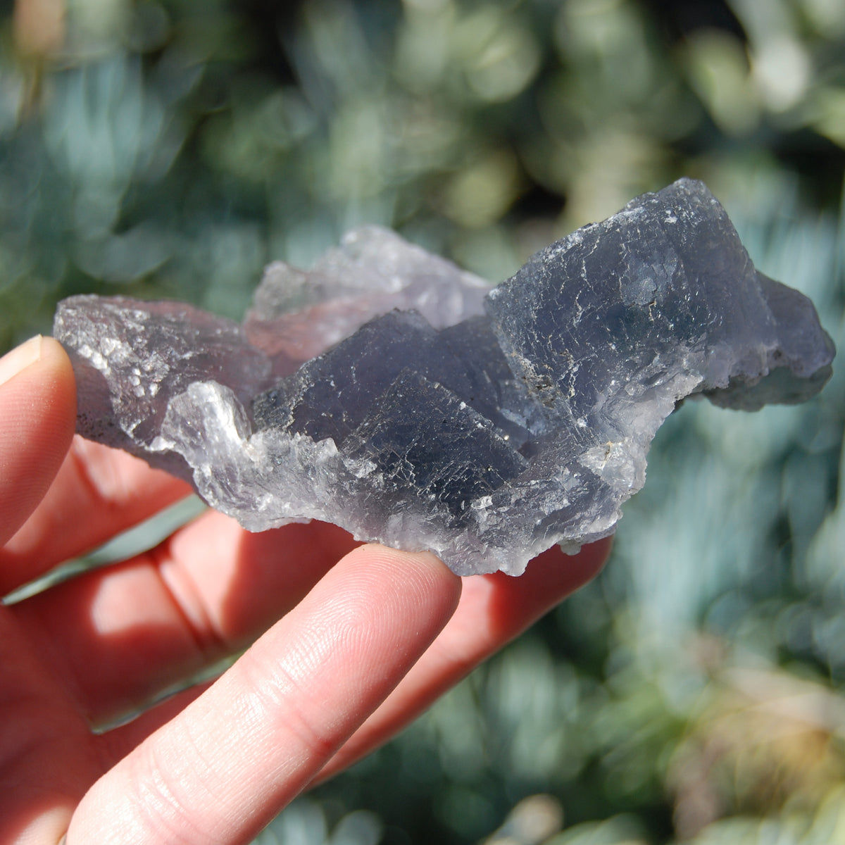 Raw Fluorite Crystal Specimen Blue Green Teal