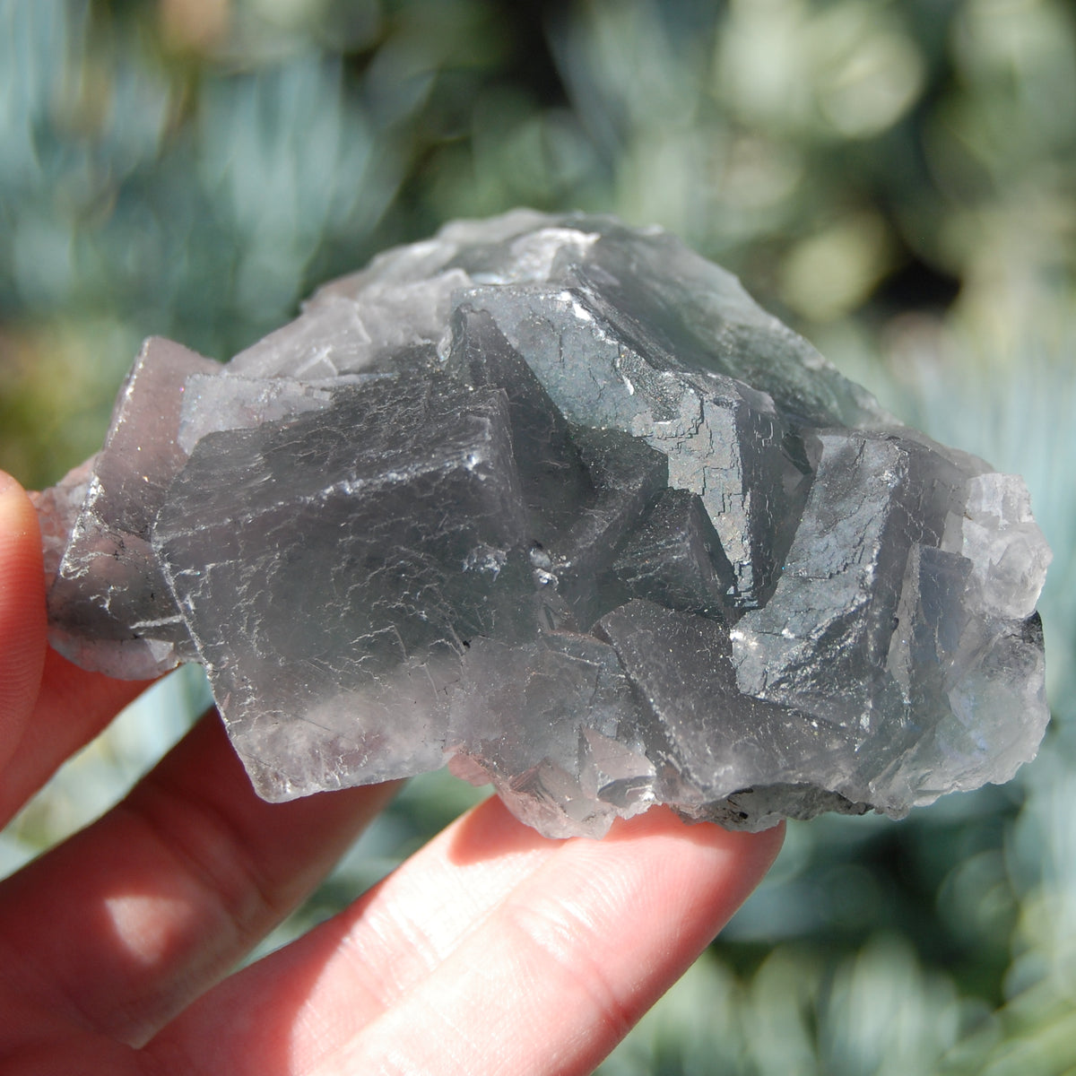 Raw Fluorite Crystal Specimen Blue Green Teal