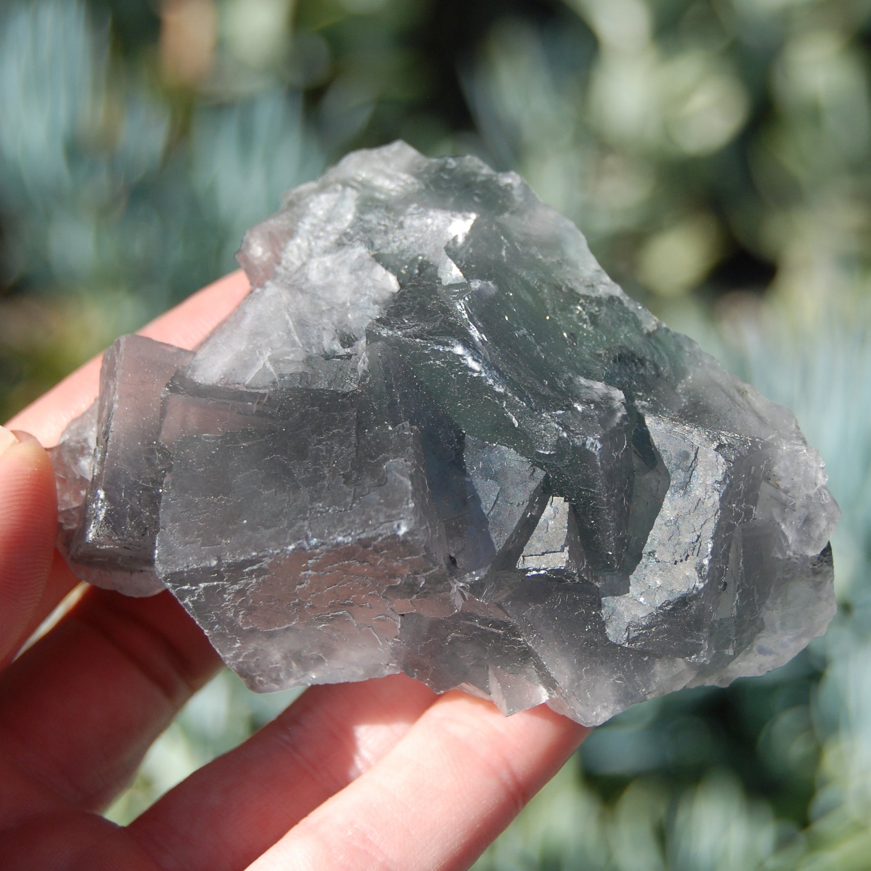 Raw Fluorite Crystal Specimen Blue Green Teal