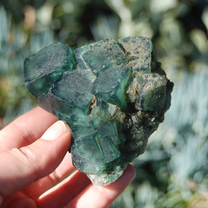 Raw Fluorite Crystal Specimen Blue Green Teal