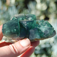 Load image into Gallery viewer, Raw Fluorite Crystal Specimen Blue Green Teal
