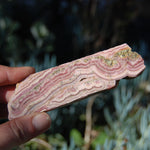 Rhodochrosite and Pyrite Crystal Gemstone Slab