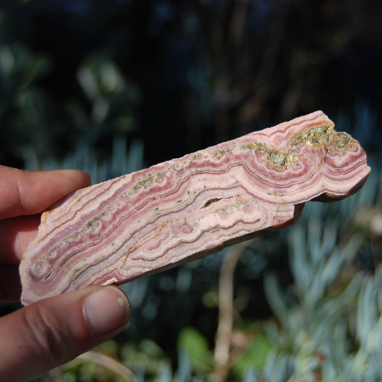 Rhodochrosite and Pyrite Crystal Gemstone Slab