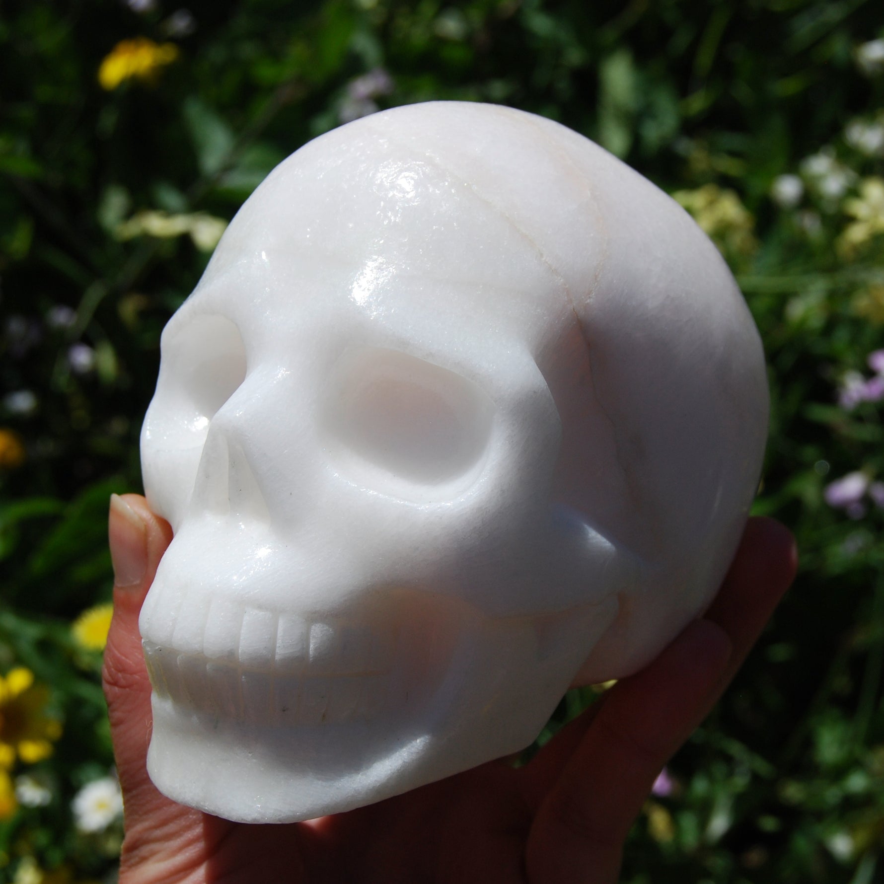 HUGE 5" Porcelain Pink Aragonite Carved Crystal Skull 3.6lb