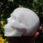 HUGE 5" Porcelain Pink Aragonite Carved Crystal Skull 3.6lb