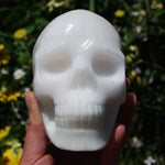 HUGE 5" Porcelain Pink Aragonite Carved Crystal Skull 3.6lb