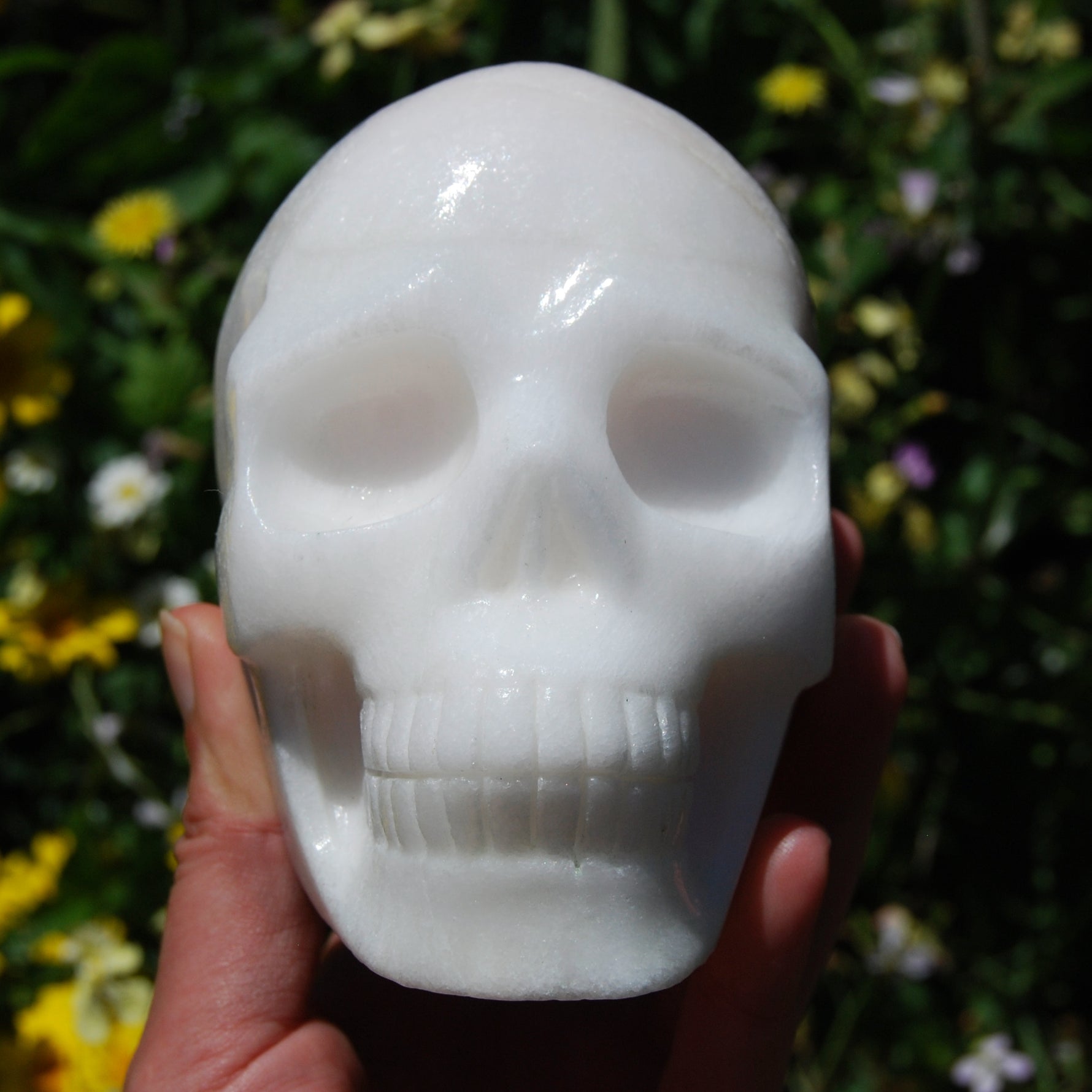 HUGE 5" Porcelain Pink Aragonite Carved Crystal Skull 3.6lb