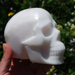 HUGE 5" Porcelain Pink Aragonite Carved Crystal Skull 3.6lb