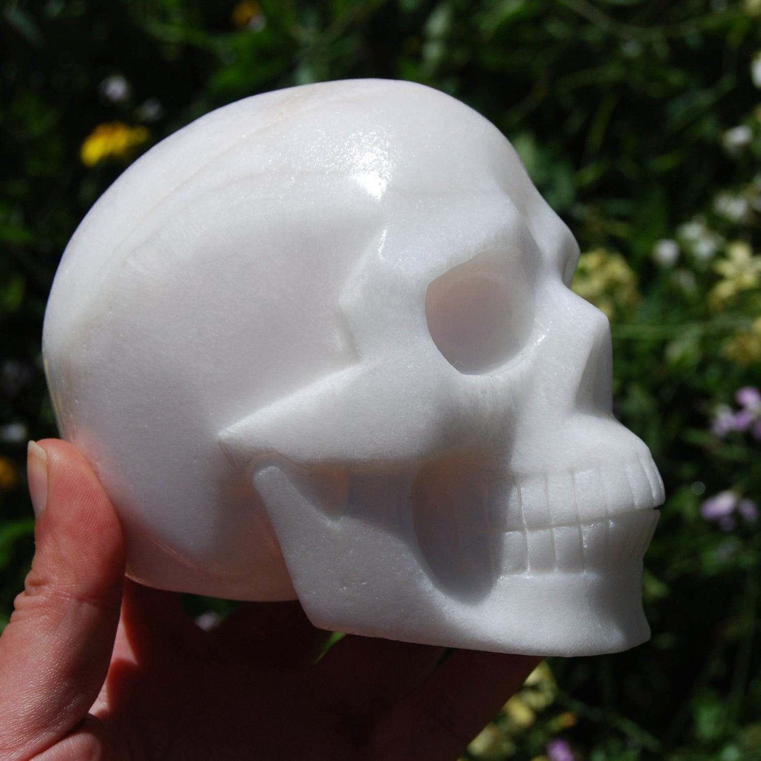 HUGE 5" Porcelain Pink Aragonite Carved Crystal Skull 3.6lb
