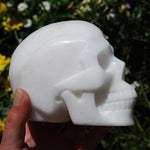 HUGE 5" Porcelain Pink Aragonite Carved Crystal Skull 3.6lb