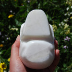 HUGE 5" Porcelain Pink Aragonite Carved Crystal Skull 3.6lb