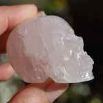 Rose Quartz Carved Crystal Skull