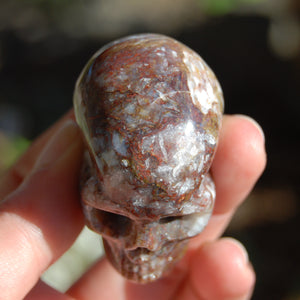 Pietersite Carved Crystal Skull 