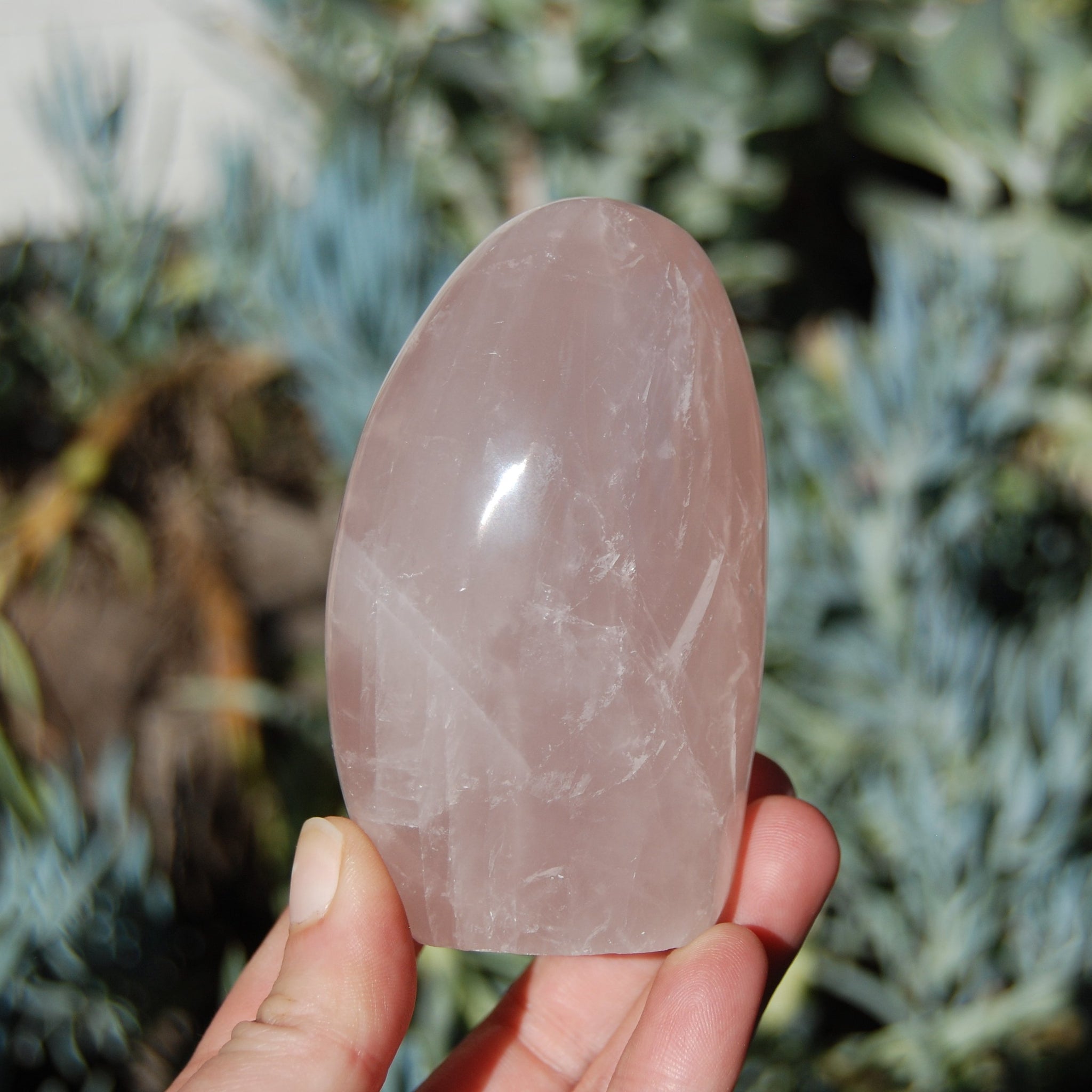 Rose Quartz Crystal Freeform