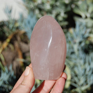 Rose Quartz Crystal Freeform