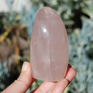 Rose Quartz Crystal Freeform
