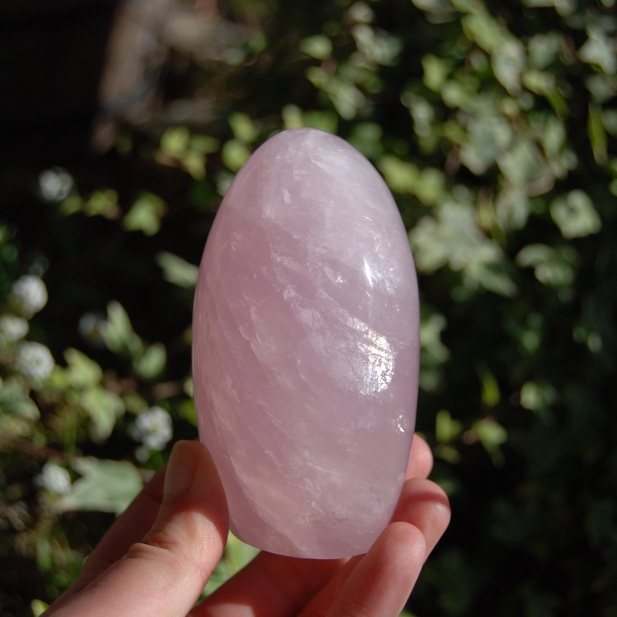 Rose Quartz Crystal Freeform