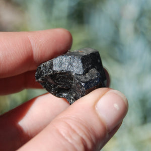Terminated Black Tourmaline Crystal Points, Natural Termination, Medium