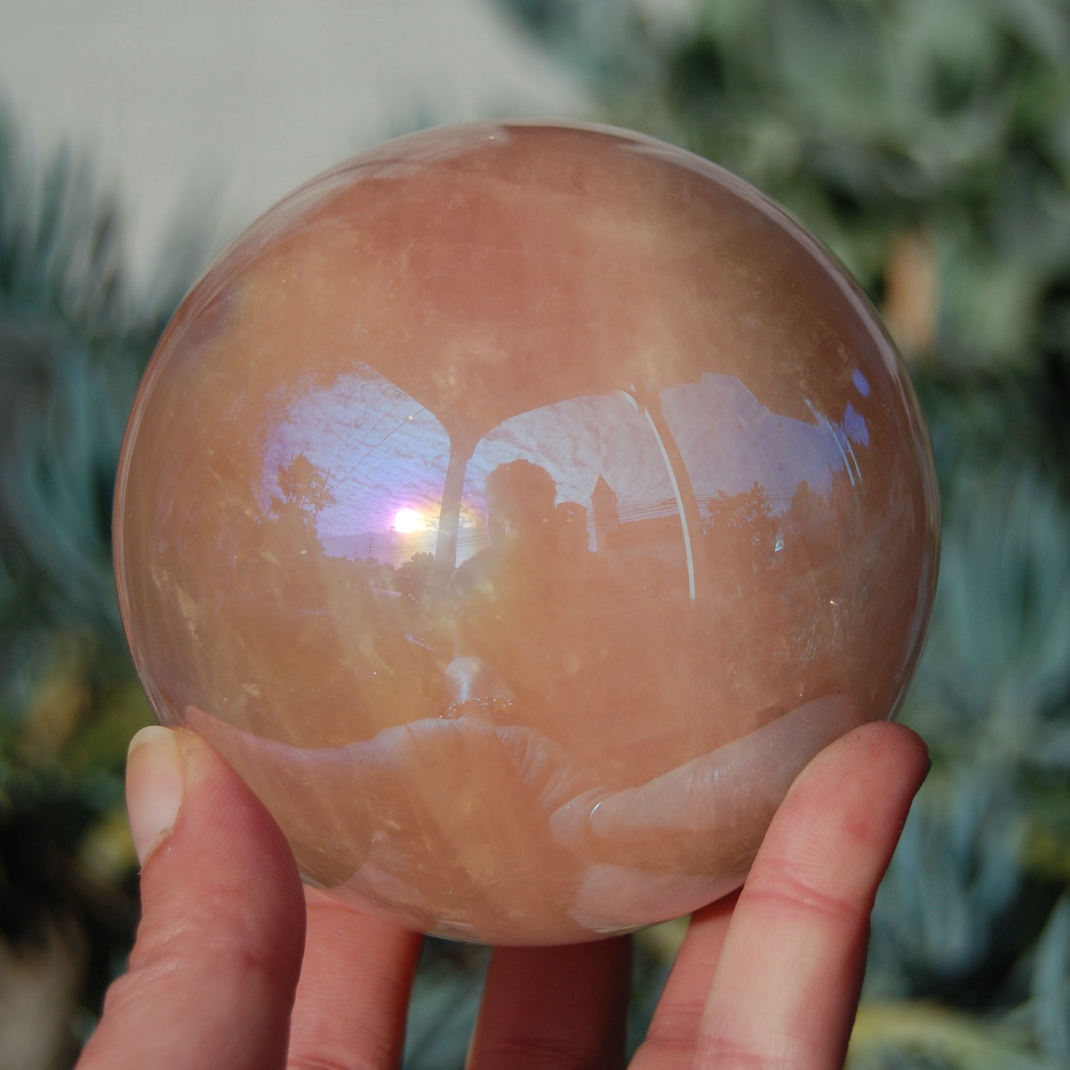 HUGE Aura Star Rose Quartz Crystal SphereHUGE Aura Star Rose Quartz Crystal Sphere