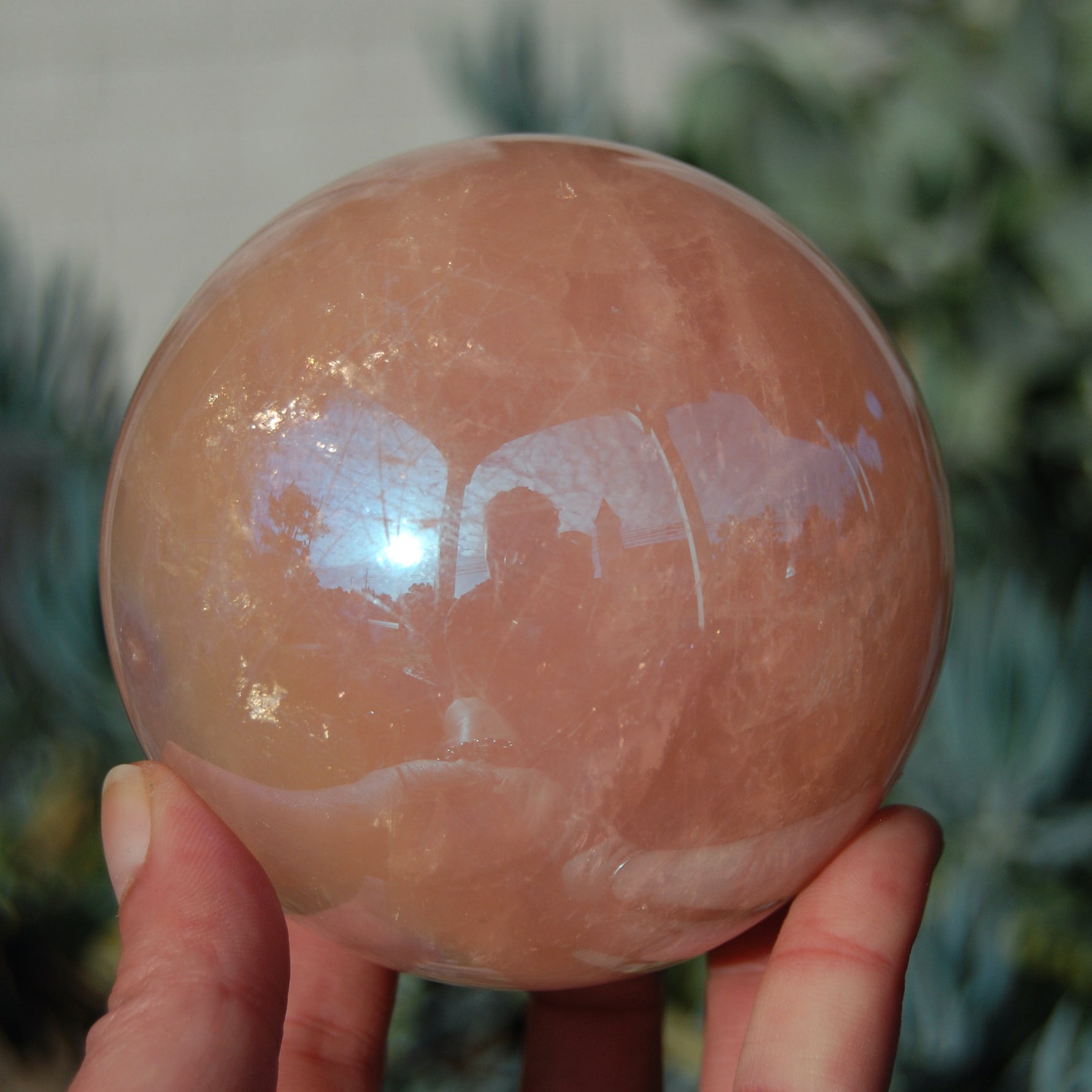 HUGE Aura Star Rose Quartz Crystal Sphere