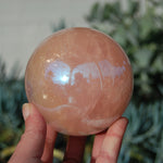 HUGE Aura Star Rose Quartz Crystal Sphere