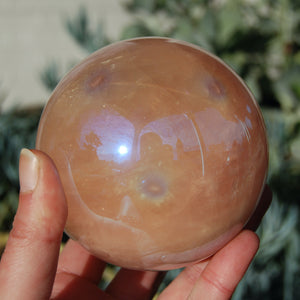 HUGE Aura Star Rose Quartz Crystal Sphere
