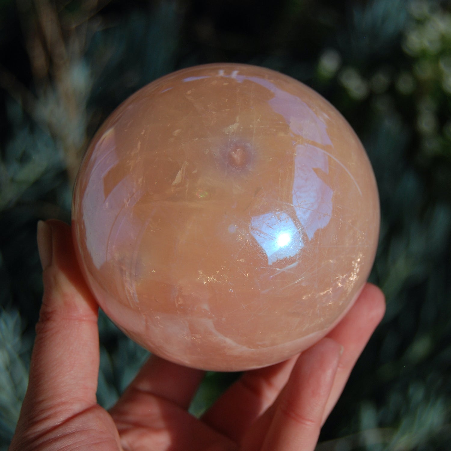 HUGE Aura Star Rose Quartz Crystal Sphere