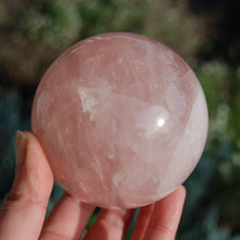 Load image into Gallery viewer, HUGE Star Rose Quartz Crystal Sphere
