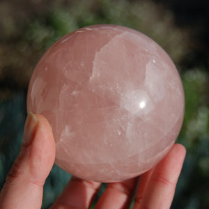 HUGE Star Rose Quartz Crystal Sphere
