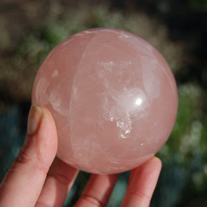 HUGE Star Rose Quartz Crystal Sphere