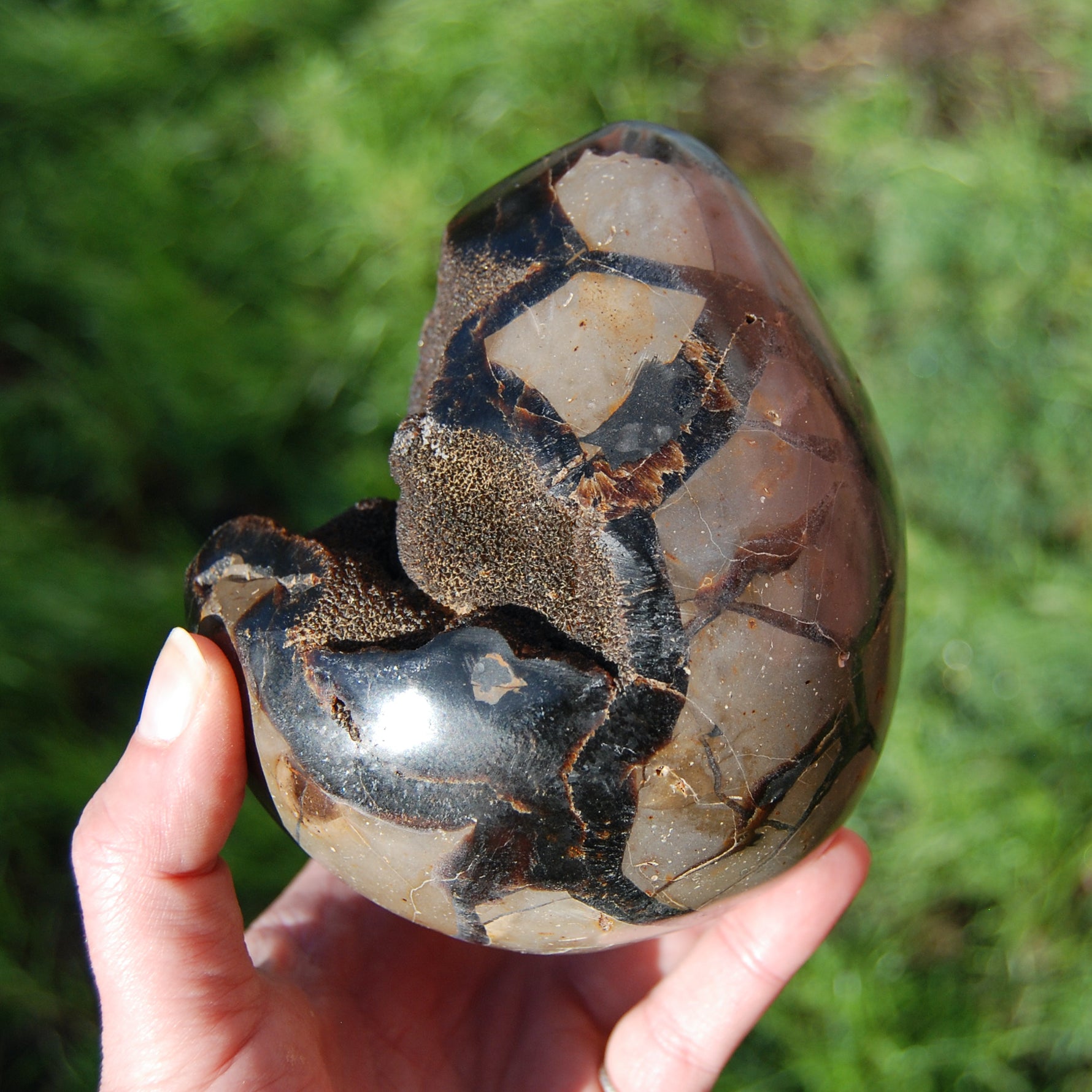 Septarian Dragon Egg Geode Crystal