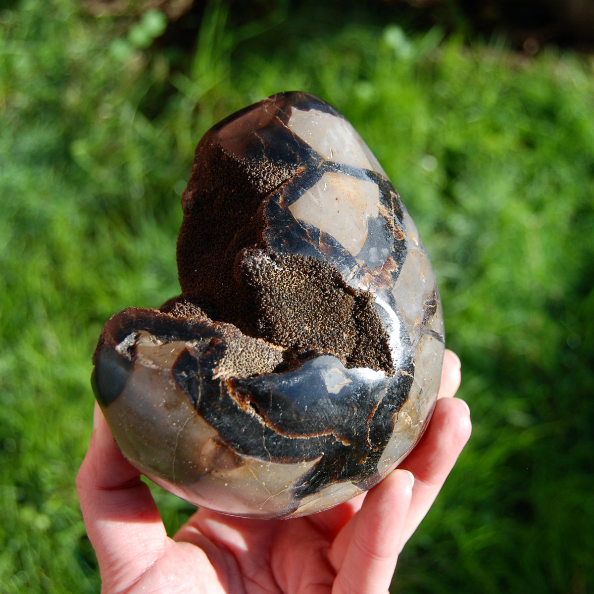 Septarian Dragon Egg Geode Crystal