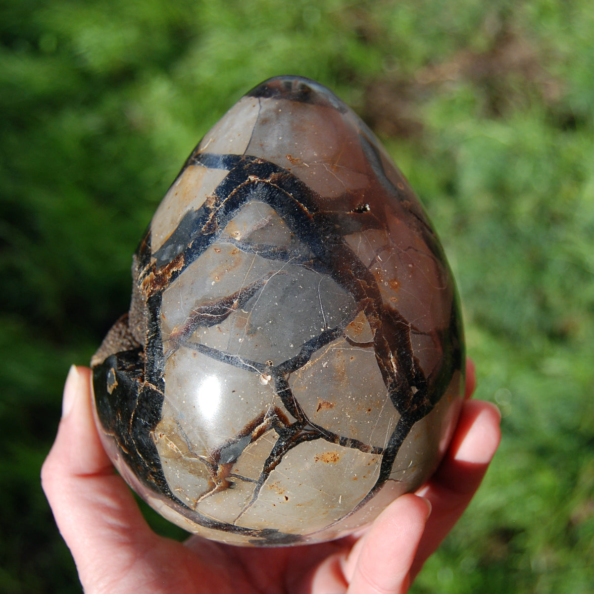 Septarian Dragon Egg Geode Crystal
