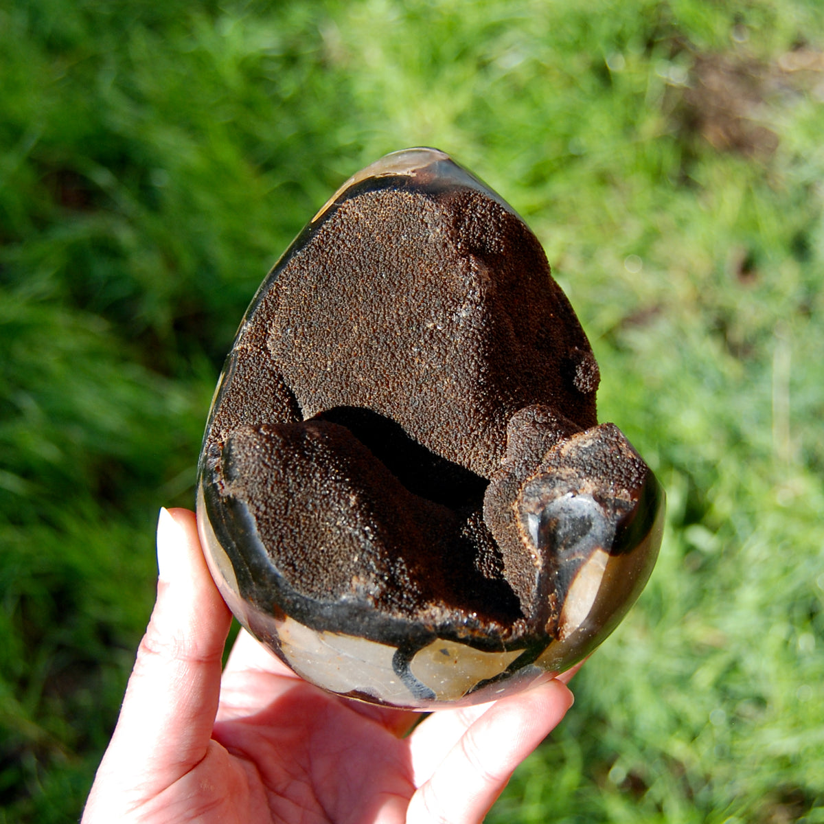 Septarian Dragon Egg Geode Crystal