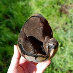 Septarian Dragon Egg Geode Crystal