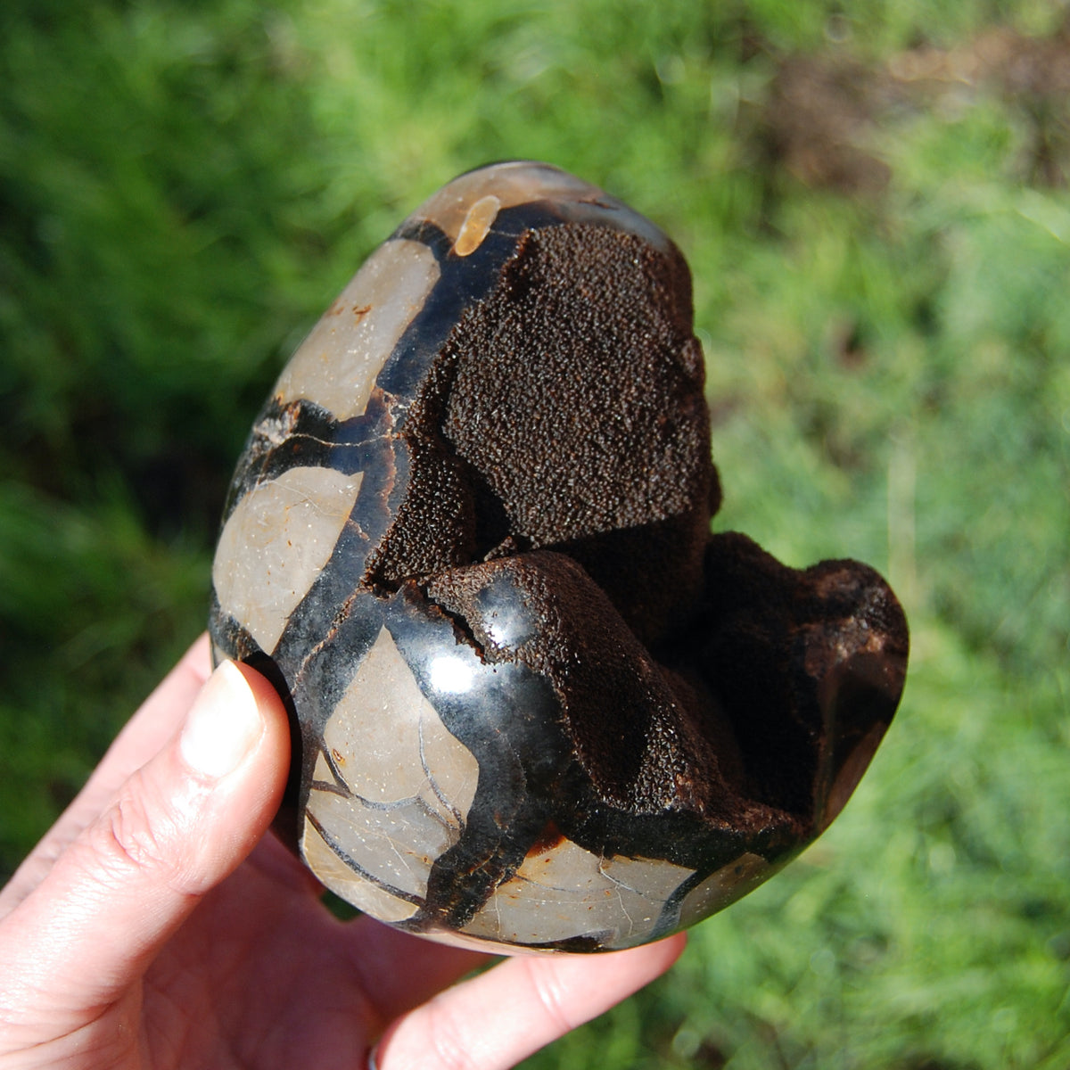 Septarian Dragon Egg Geode Crystal