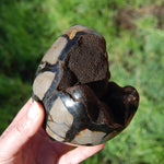 Septarian Dragon Egg Geode Crystal
