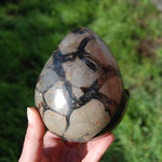 Septarian Dragon Egg Geode Crystal